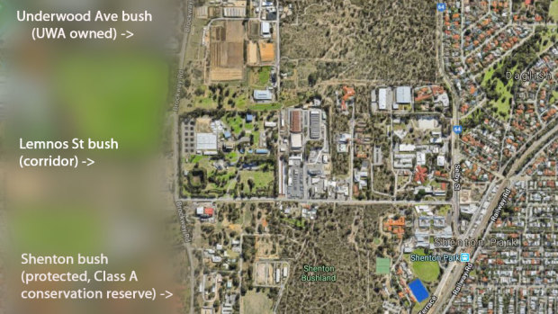 The Lemnos Street bush links two high profile areas of bushland. 