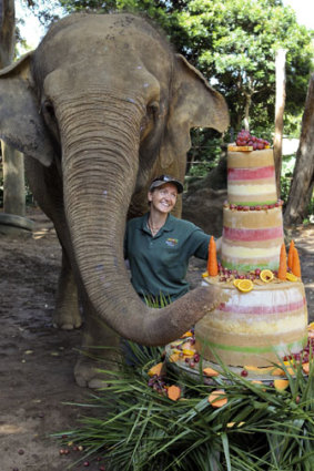 Elephant Tricia celebrates her birthday with a cake made from fruits and Sultana Bran.