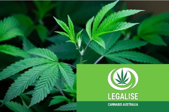 Legalise Cannabis Australia have performed well in Queensland.