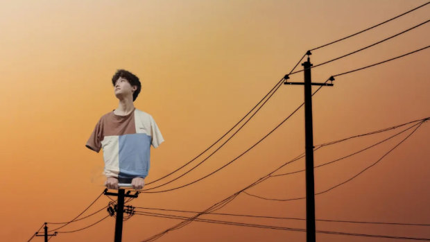 Why are China’s youth pretending to be birds on social media?