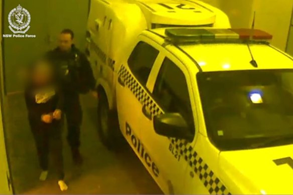 Police allege the 42-year-old mother masterminded the three-week crime spree, which targeted almost 40 small businesses and caused $150,000 worth of damage.