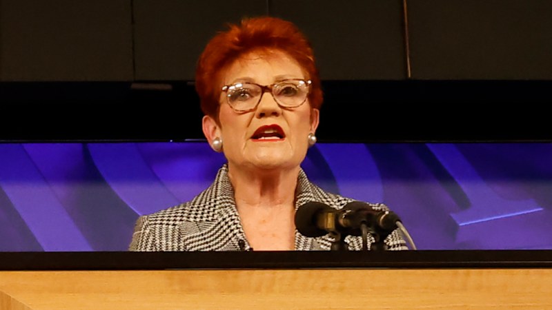 Hanson came looking for a fight with the establishment. She got one