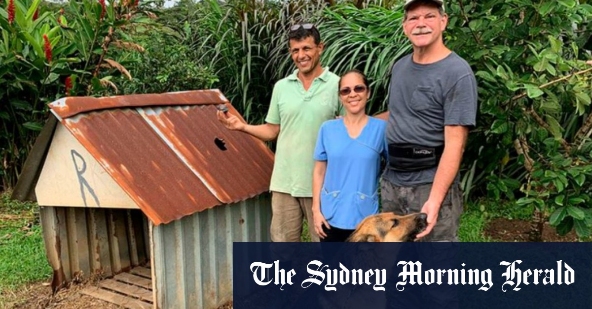 Doghouse struck by meteor could fetch up to $420,000 at auction - Sydney Morning Herald