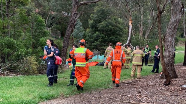 The MFB used a chainsaw to cut the balloon out of the trees.