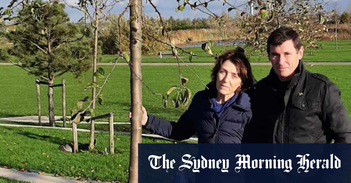 Families of Australian MH17 victims get answers as three found guilty of murder - Vimarsana News