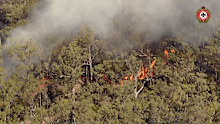 The Queensland Fire Department is concerned for four properties in the path of bushfires near Murphy’s Creek.
