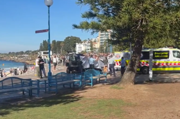 Sheets and towels were held up to try and shield the shaek attack victim from view in Sydney.