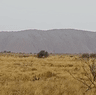 Spring rain at Uluru.