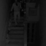 International burglar Liudas Valiusaitis is caught on camera.