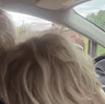 Boris Johnson pecked by ostrich.