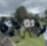 Belmore Boys High School brawl