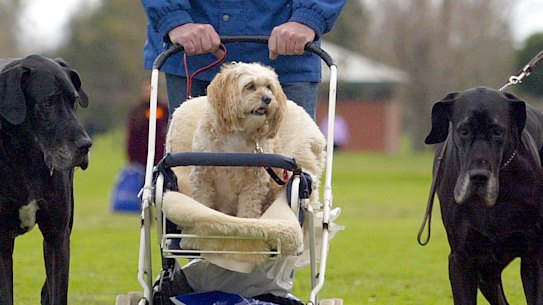 Child’s play? Not quite.