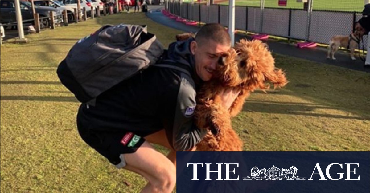 Afl 2020 Victorian Clubs Begin Journey Interstate To Join Hubs