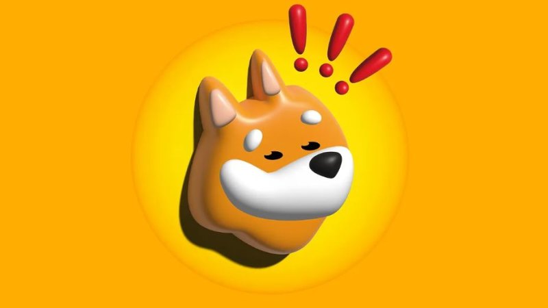 BONK, ‘dog coin of the people’, rides high post-FTX collapse