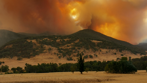 The government-commissioned modelling of its net zero policy did not cost the impact of climate change on Australia.