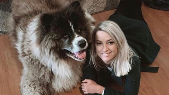 Kuma the Akita and his adopted “sister”.