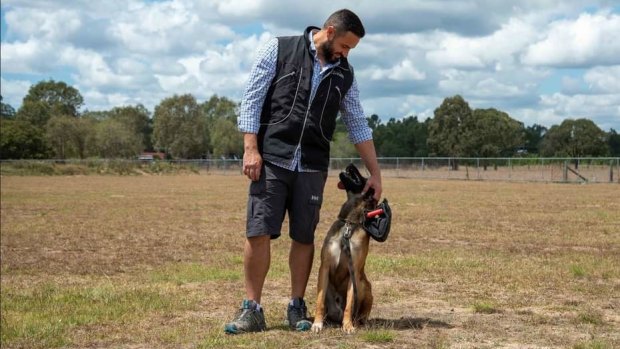 Logan dog trainer Gabriel Crazzi, charged with terrorism-related offences, has been released on bail.
