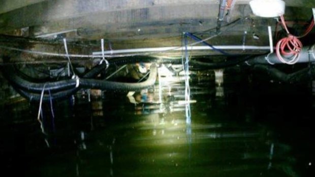 The stagnant water was photographed in the Broadway Hotel's basement.