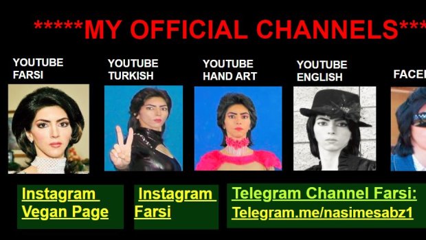 Nasim Aghdam used her personal website to complain about YouTube's advertising policies and advertise numerous other online profiles.