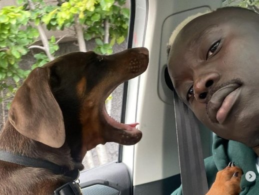 Reggie the doberman, with Mabior Chol, from Reggie’s Instagram account.