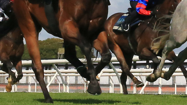 Coffs Harbour has seven races on the card on Monday.