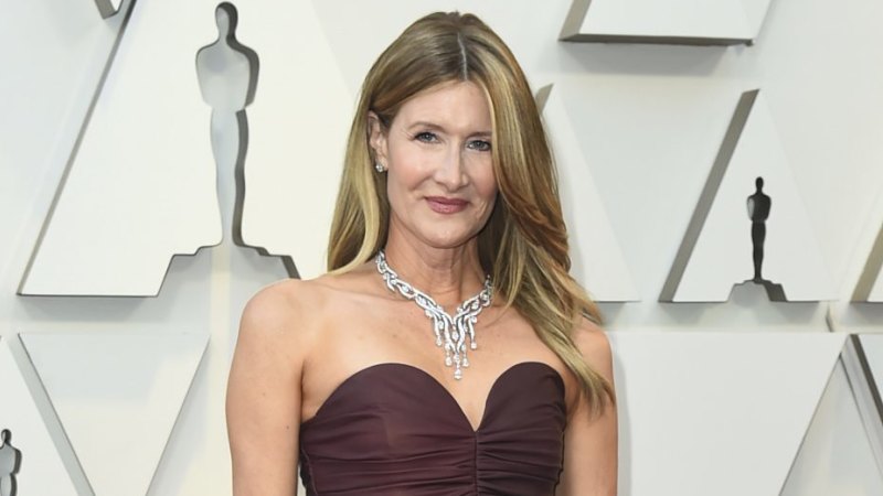 Just Now Becoming A Movie Star Laura Dern Is At The Peak Of