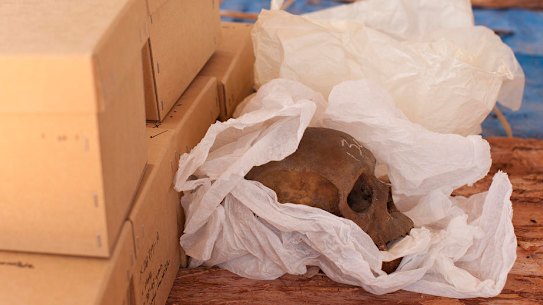 An unpacked skull awaits being covered in red ochre as human remains are finally returned to their ancestral home in East Arnhem Land for ceremonial reburial in 2011 after over 60 years in the possession of the Smithsonian Institution in Washington. They had been collected during a combined Australian and American expedition to Arnhem Land in 1948.