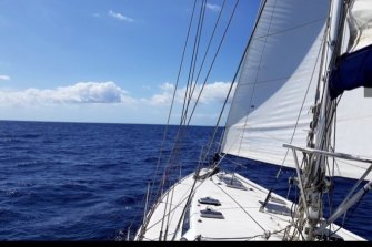 An image from Druery’s yacht trip to Coffs Harbour. 