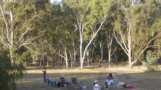 Locals counting cockies at the roost. 