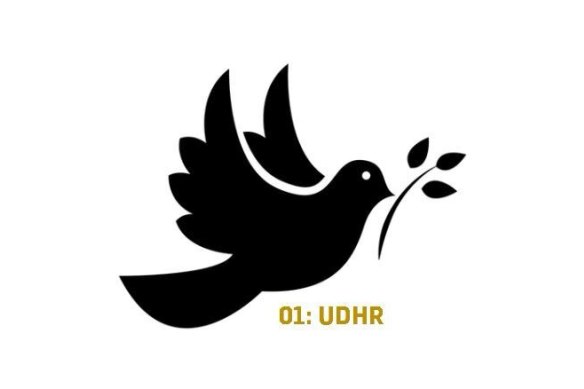 This image of a dove holding an olive branch references article one of the Universal Declaration of Human Rights. It’s the same logo that Usman Khawaja wanted to wear on his shoes and have on his cricket bat at the Boxing Day Test before the International Cricket Council ruled against his application.