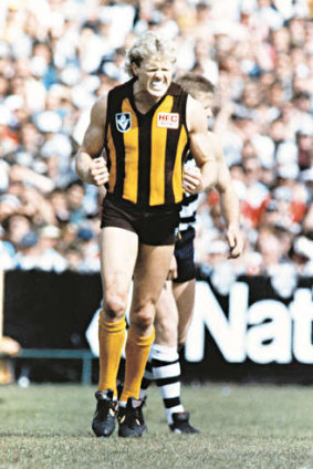 Hawk Dermott Brereton rallies after he was crunched in the 1989 VFL grand final.