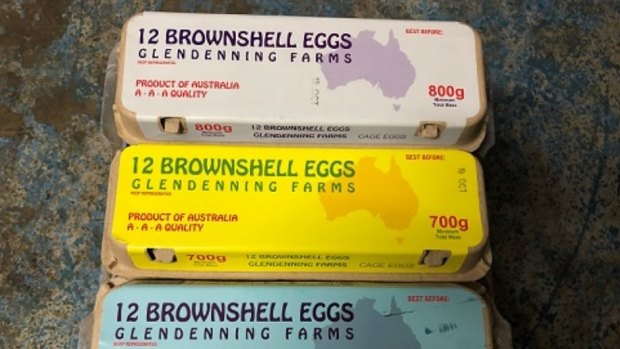Leading egg retailer Eggz on the Run have voluntarily recalled thier 12 Brownshell Eggs sold under the Glendenning Farms brand after 23 cases of salmonella food poisoning in Sydney's metro area.