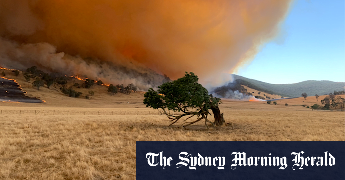 SMH | Australian Breaking News 