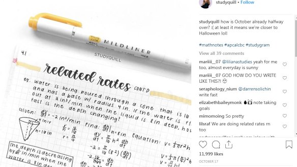 'Ur so good omg': Insta fans go nuts over perfect study notes
