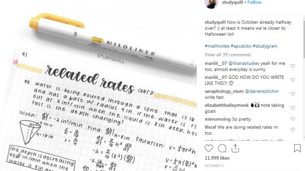 Perfect notes: US studygram superstar Jasmine Shao, 16, aka studyquill, has more than 200,000 Instagram and 300,000 YouTube followers.  