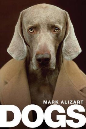 Alizart asserts that, in loving dogs, we learn to make peace with a dark part of ourselves.