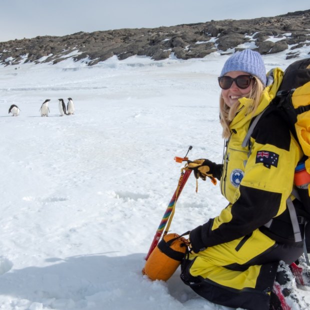 Amy Carroll's first encounter with penguins in Antarctica. 