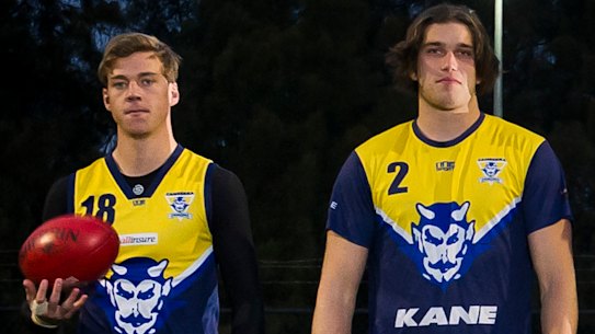 The stars behind the Canberra Demons' rise