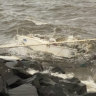 The boat washed up in Clontarf, in the Moreton bay Region, is described as a 15 to 20-foot-long white fibreglass hull and has writing on it reading, ‘Yot of Lisa’. 