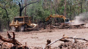 Land clearing in Queensland.