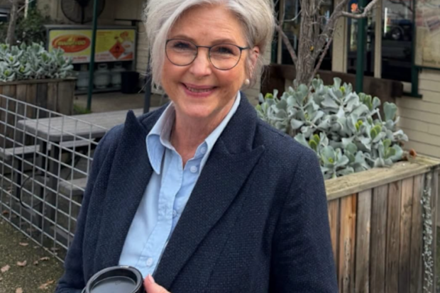 Independent federal MP Helen Haines, 65, has been critically hurt after being hit by a car outside her office in regional Victoria.