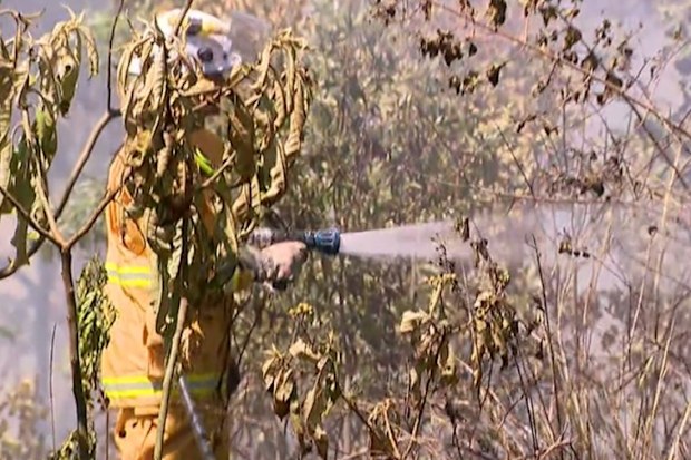 Three firefighters were hospitalised and one suffered a foot injury, while two others were treated for heat exhaustion and smoke inhalation.