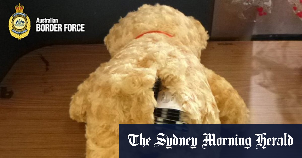 Australian customs: Teddy bear's bum steer results in Border Force drug find - Vimarsana News