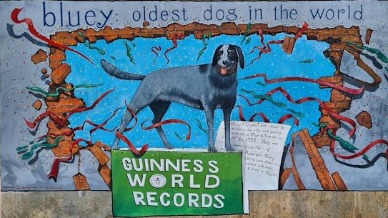 The mural in Rochester honouring the life of Bluey, the one-time world record holder as the oldest living dog.