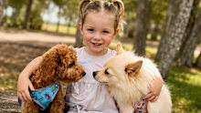 Bear, a three-year-old cavoodle killed in a brutal dog attack in NSW, with companion Bambi and their owner’s granddaughter.