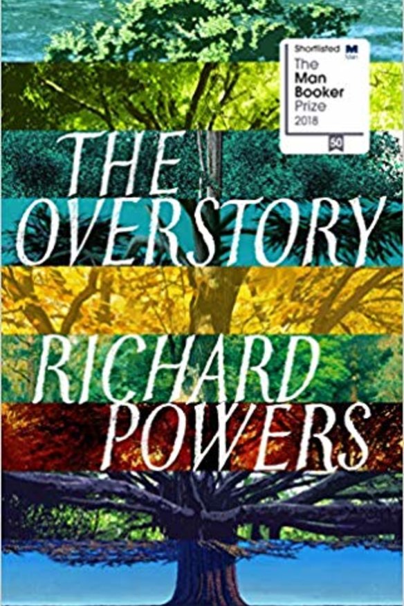 The Overstory.