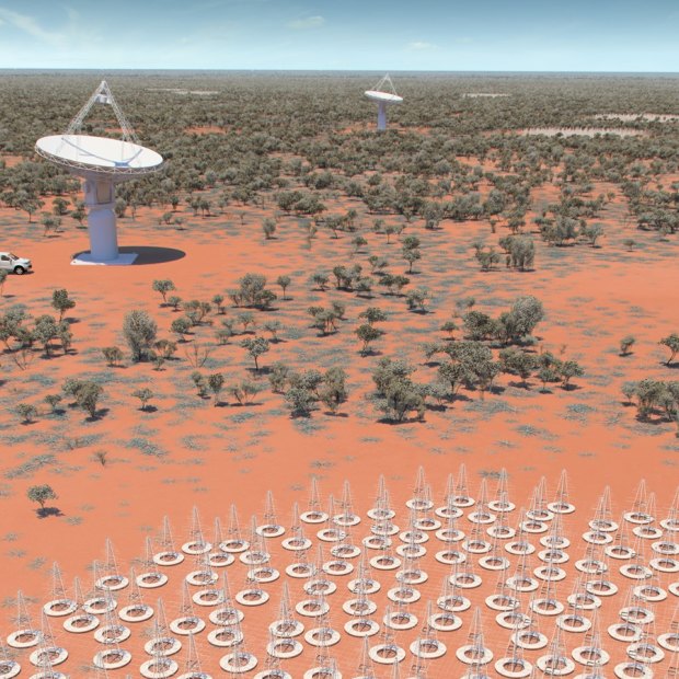 More than a million antennas will pick up signals from space alongside the towering Pathfinder radio telescope dishes. 