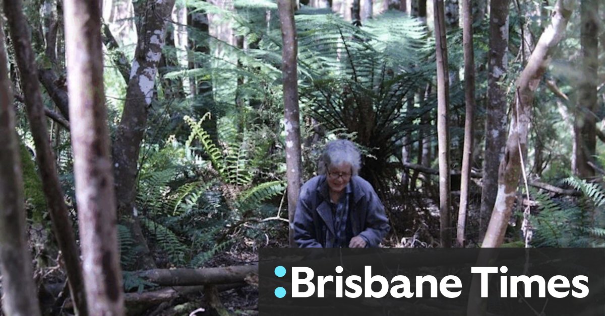 Tasmania's House of Slime: How Sarah Lloyd built a house of slime - Vimarsana News