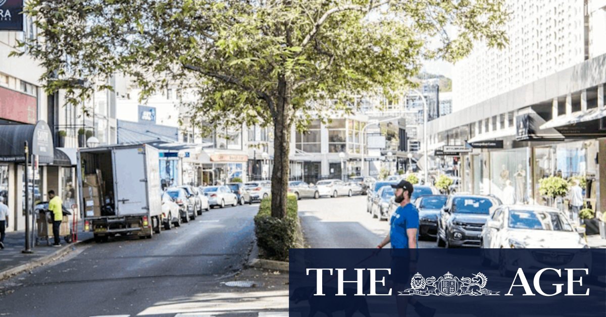 Double Bay plaza: Woollahra Council divided over Knox Street pedestrian mall plan - Vimarsana News