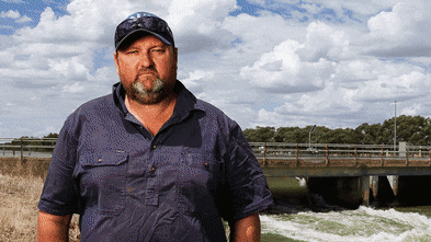 A protest vote is brewing in Sussan Ley’s seat – but it won’t be simple